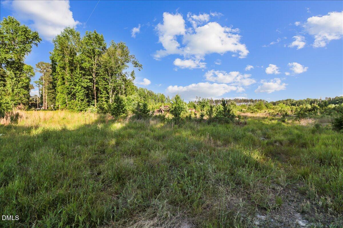 Land in Kenly 5