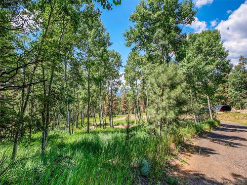 12286 Styve Rd, Conifer, CO, 80433-6301 | Card Image