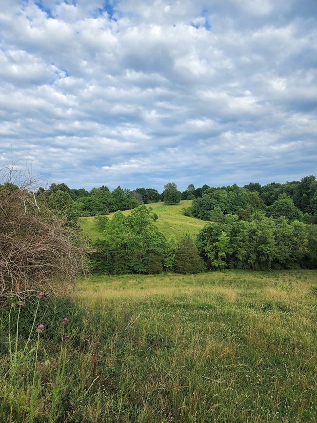 33.64 ac Davis Rd, Home with 0 bedrooms, 0 bathrooms and null parking in Livingston TN | Image 4