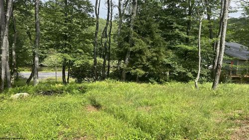 Lots 23-25 Blackwater Cyn, Thomas, WV, 26292 | Card Image