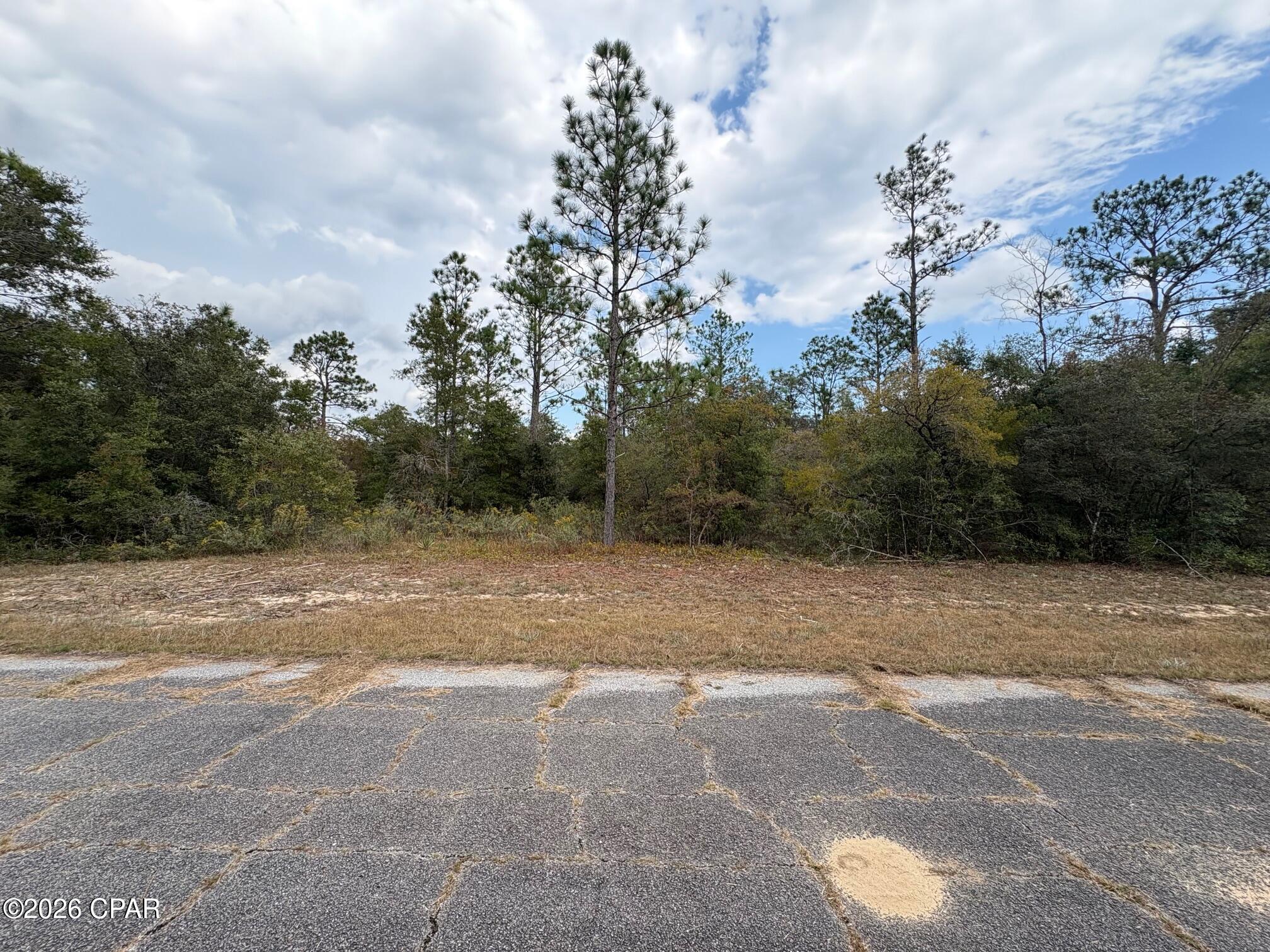 Land in Chipley