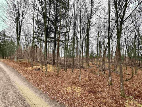 Lot 36 Fairway Drive Drive, LANGLADE, WI, 54465 | Card Image