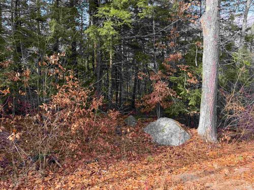 Map 29 Lot 5-1 Middleton Road, Milton, NH, 03851 | Card Image