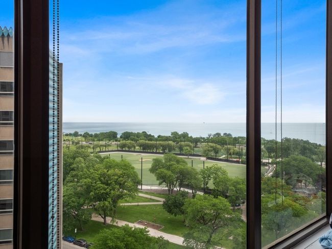 APT-1505 - 2800 N Lake Shore Dr, Home with 1 bedrooms, 1 bathrooms and null parking in CHICAGO IL | Image 11