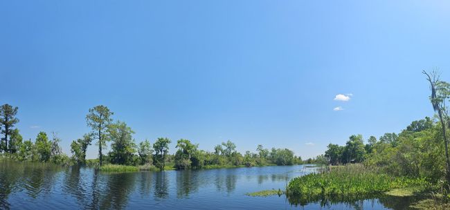 DJI_20240307_125508_20 | Image 87