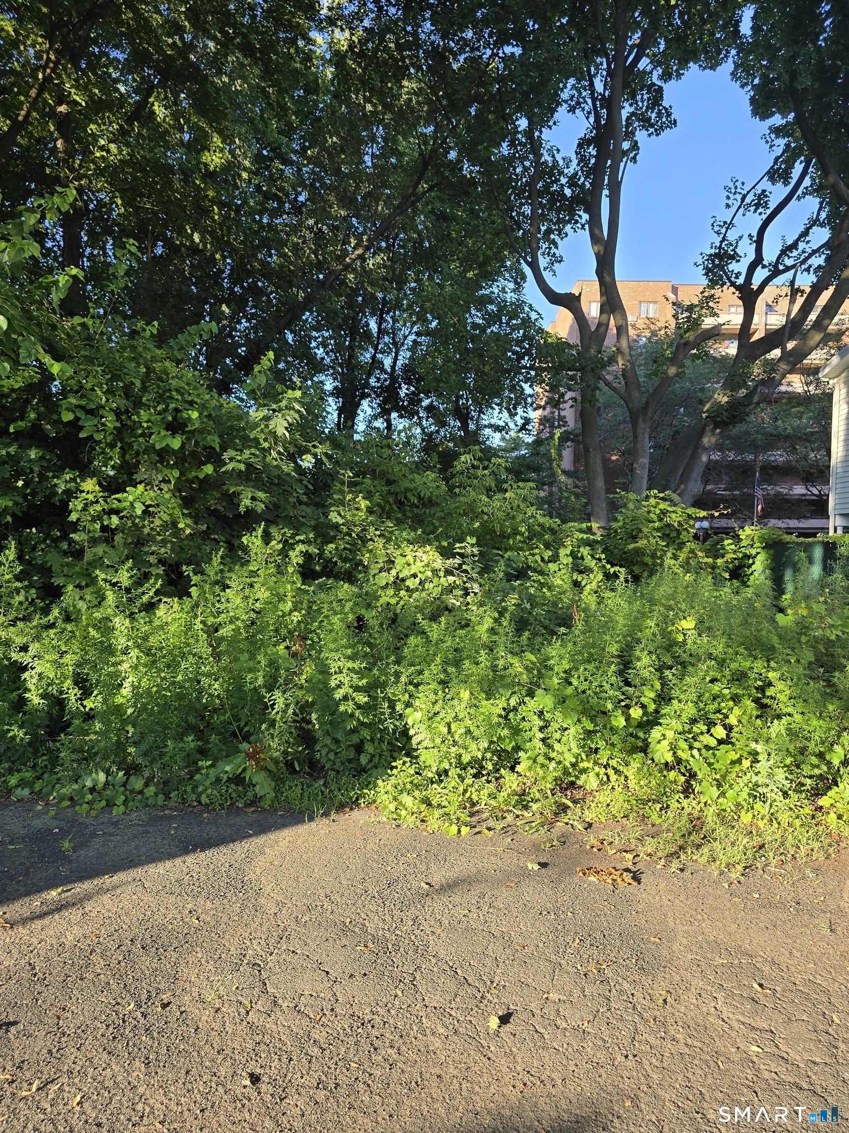 Land in Danbury 4