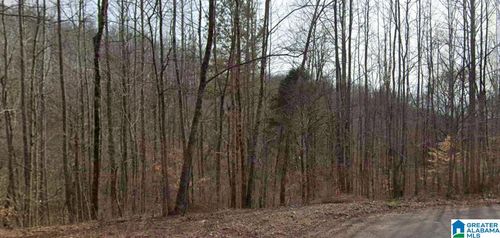 15-00 Heritage Creek Dr, Springville, AL, 35146 | Card Image