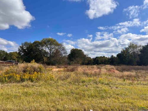 meadows-subdivision-Lot 10 or 11 Cr 2204 D, Tatum, TX, 75691 | Card Image