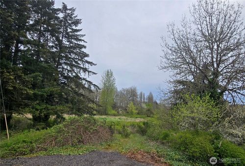 198 Chandler Road, Doty, WA, 98539 | Card Image