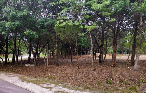 000 Woodridge Ct, Red Oak, TX, 75154 | Card Image