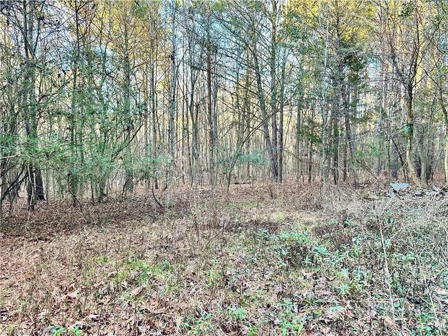 00 Farmstead Rd, Home with 0 bedrooms, 0 bathrooms and null parking in Seagrove NC | Image 22