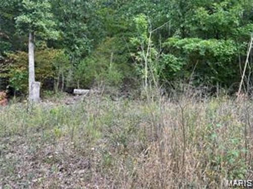 0 Lake Shore Dr, Owensville, MO, 65066 | Card Image