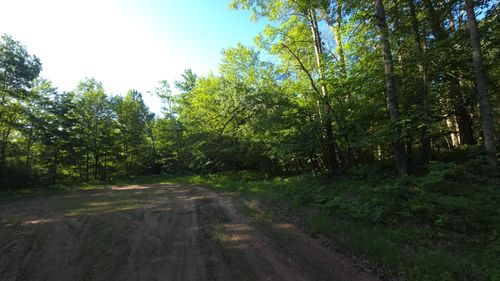 XXX Fox Ridge Trail Way, Danbury, WI, 54830 | Card Image