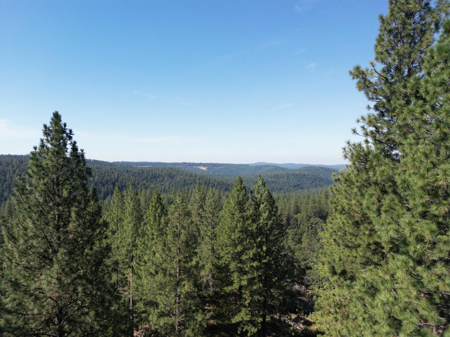 Land in Pioneer 3