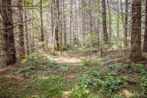 101 Wild Blackberry Ln, Port Angeles, WA, 98363-6161 | Card Image