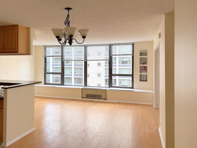 APT-607 - 1313 N Ritchie Ct, Condo with 1 bedrooms, 1 bathrooms and 96 parking in Chicago IL | Image 10