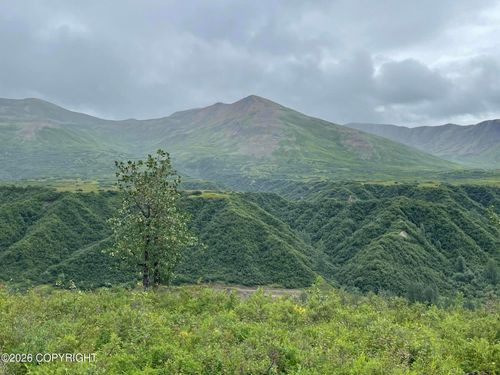 5598 S Lucky Creek Cir, Trapper Creek, AK, 99683 | Card Image