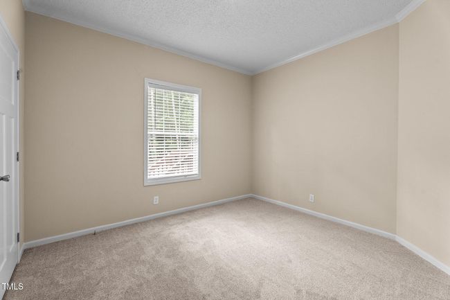 34-web-or-mls-DSC04763 | Image 25