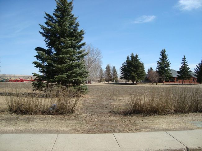 209 Main St, Home with 0 bedrooms, 0 bathrooms and null parking in Trochu AB | Image 11