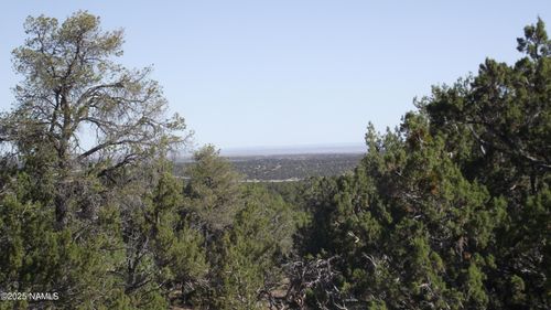730 E Wampum Ln, Williams, AZ, 86046 | Card Image