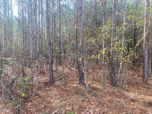 0 Adams Reeves Rd, Dearing, GA, 30808 | Card Image