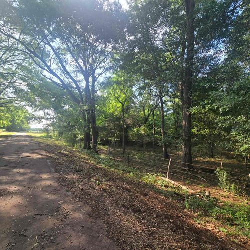 TBD Cr 1107, Flint, TX, 75762 | Card Image