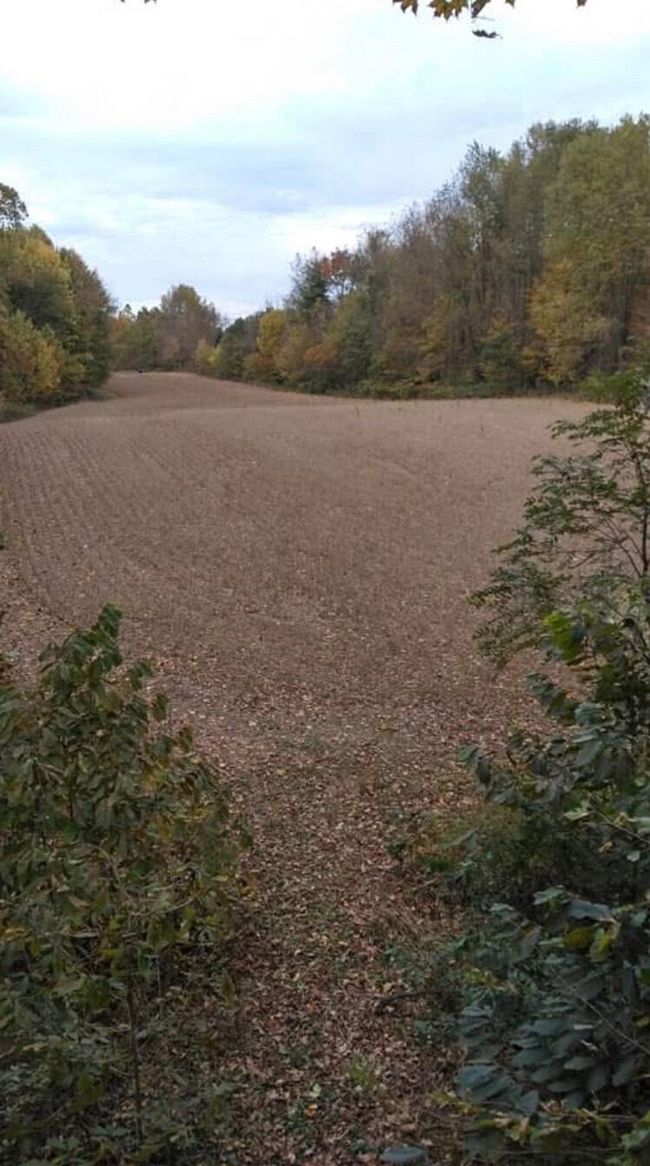 00000 County Road 673, Home with 0 bedrooms, 0 bathrooms and null parking in Lawrence MI | Image 6