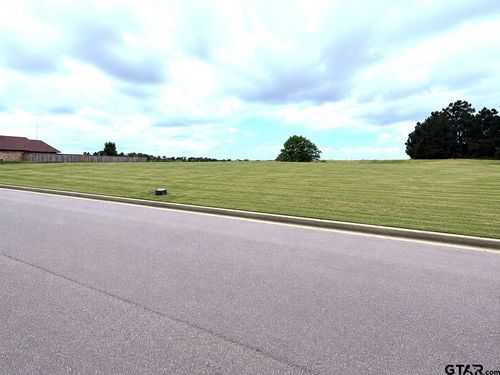 LOT 77 &amp; 78 Dela Cruz Drive, Winnsboro, TX, 75494 | Card Image