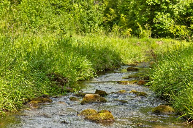 Mill Creek is a beautiful creek running through the property | Image 5
