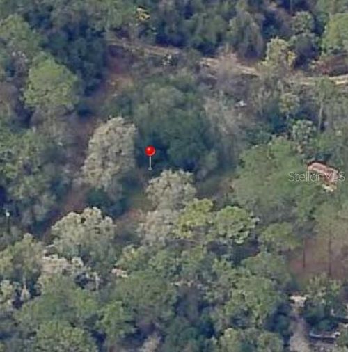 18901 Se 93rd St, OCKLAWAHA, FL, 32179-4007 | Card Image