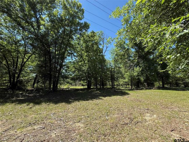 72 Acres N Farm Road 900, Home with 0 bedrooms, 0 bathrooms and null parking in Saltillo TX | Image 29
