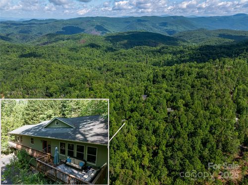 75 Cougar Ln, Saluda, NC, 28773-0045 | Card Image