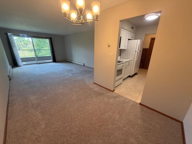 Newer Carpet | Image 5