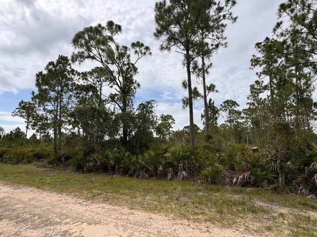 Land in PUNTA GORDA