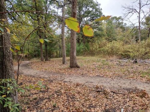 9411 Pinewood Dr, Quinlan, TX, 75474-3368 | Card Image