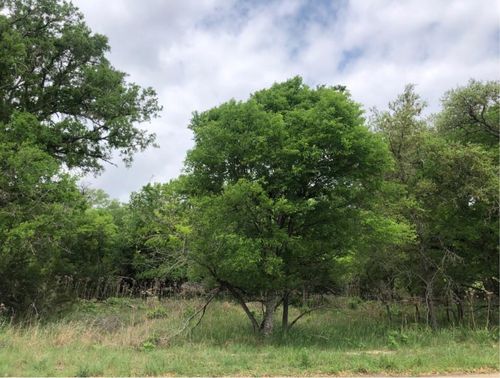 75 E Valley Spring Rd, Wimberley, TX, 78676 | Card Image