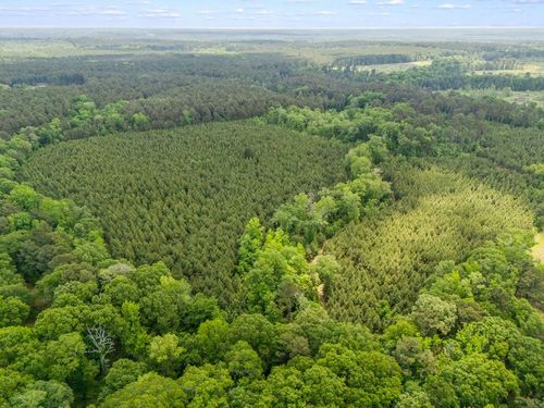 TBD Cowpen Road 68.44 Acres, Karnack, TX, 75661 | Card Image