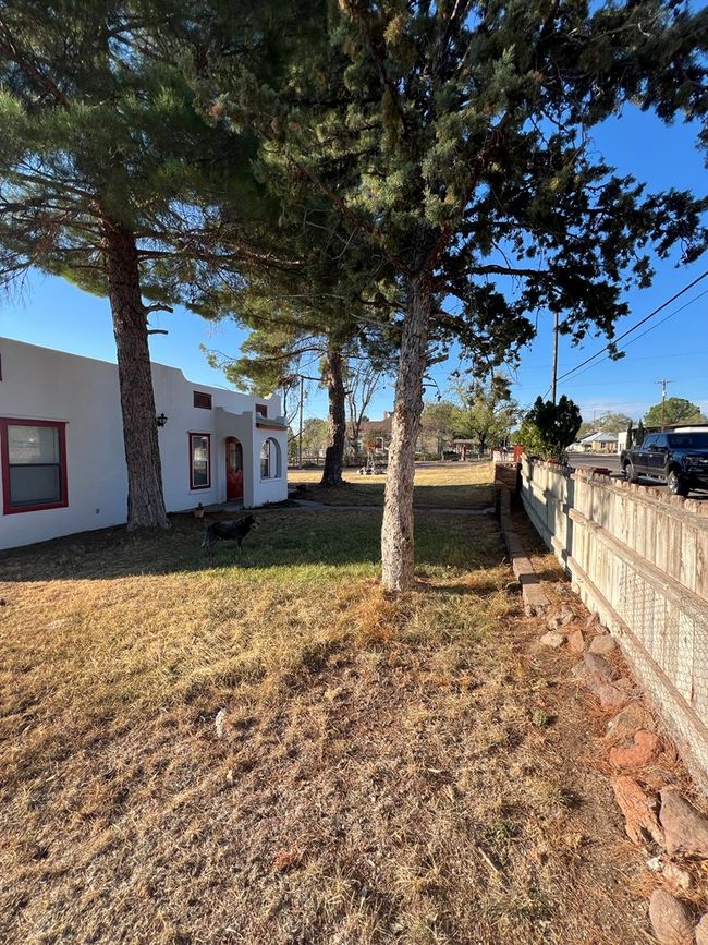 300 N State St, House other with 3 bedrooms, 2 bathrooms and 2 parking in Fort Davis TX | Image 37