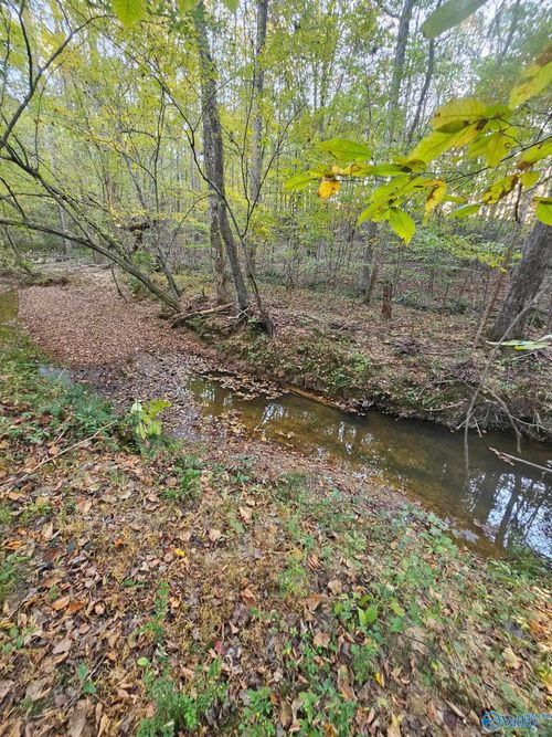 10267 Al Highway 101, Town Creek, AL, 35672-4617 | Card Image