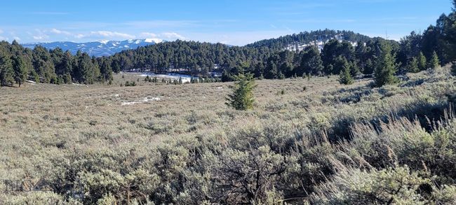 3 Bivens Creek Ridge Road, Home with 0 bedrooms, 0 bathrooms and null parking in Sheridan MT | Image 17