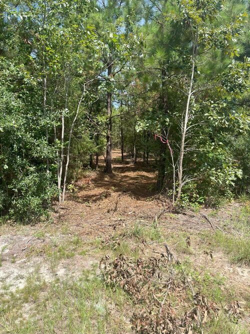 ppf-11-Ppf 11 Payne Pond Rd, Westville, SC, 29175-9508 | Card Image