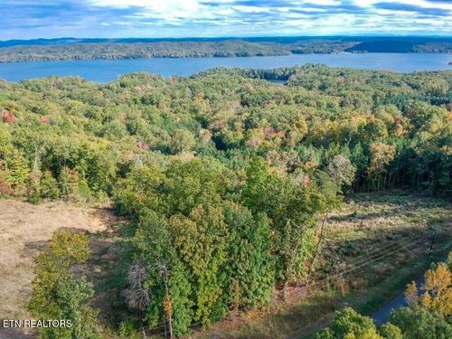Lot 272 Spruce Dr, Spring City, TN, 37381 | Card Image
