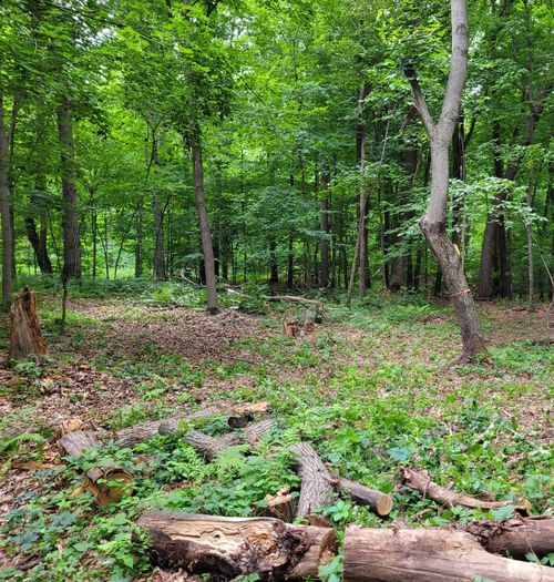 XXXX 211th Street, Eureka, WI, 54853 | Card Image