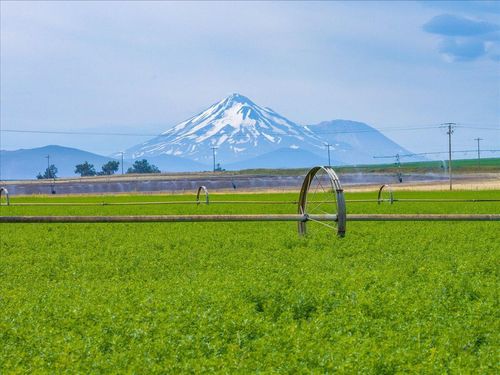 2935 Sheep Mountain Rd, Macdoel, CA, 96058-9772 | Card Image