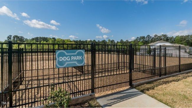dogpark | Image 21