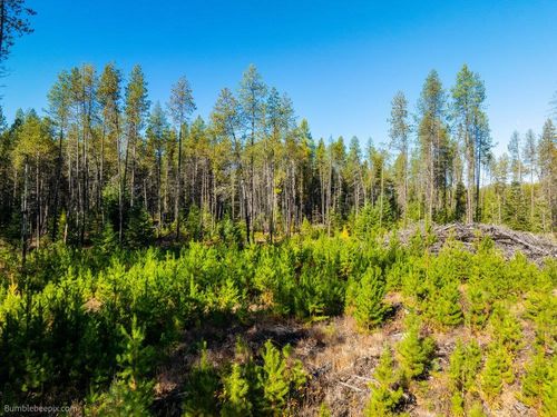 440 Western Larch Rd, Newport, WA, 99156-5362 | Card Image