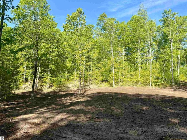 B11 E Solaris Way, Home with 0 bedrooms, 0 bathrooms and null parking in Maple City MI | Image 7