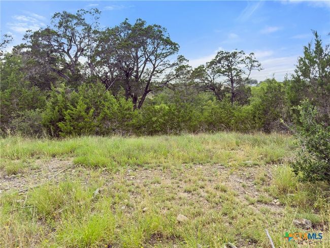 128 Enigma Ave, Home with 0 bedrooms, 0 bathrooms and null parking in Spring Branch TX | Image 8