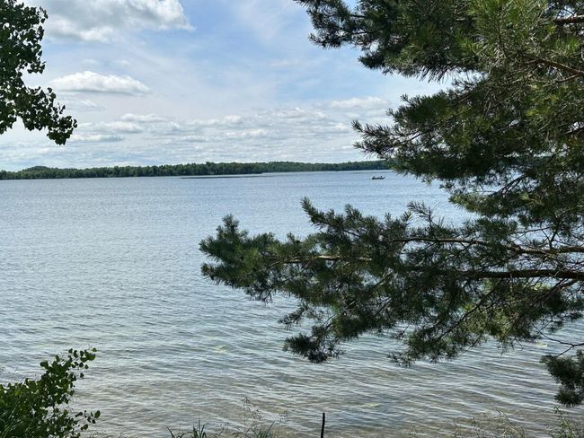 close up of lake.jpg | Image 17