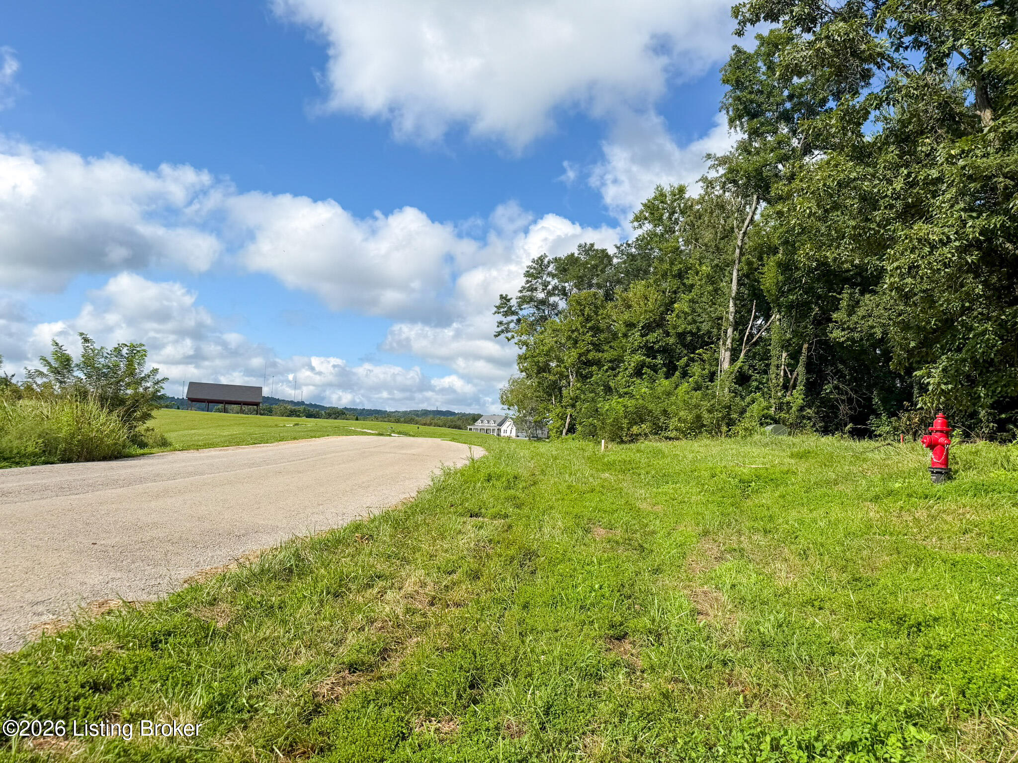 Land in Shelbyville 3